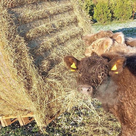 Ferienwohnung Auf Dem Land Dittersbach Esterno foto